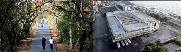 Maharashtra govt eyeing dairy department’s assets for monetisation