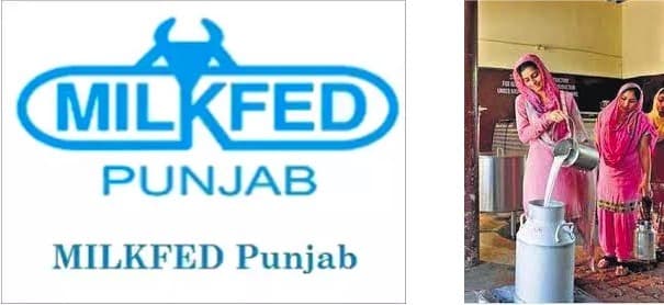 Milk procurement prices hiked by ₹55 per kg fat in Punjab