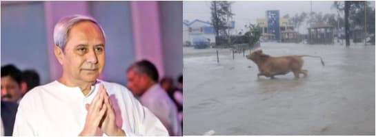 Naveen Patnaik supports Yaas hit dairy farmers with Rs 30000/dairy cattle