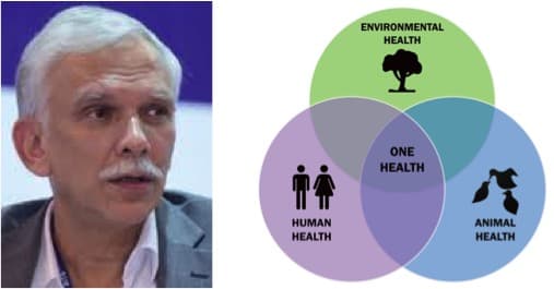 One health approach will create safe human-animal interactions