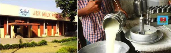 No milk buyers in Kashmir, white revolution takes a hit in Valley
