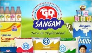 Andhra Pradesh: ACB unearths irregularities in Sangam Dairy