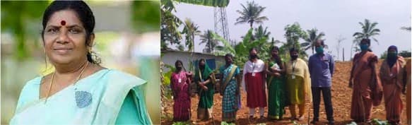 Dairy farmers to be grouped to promote production, marketing