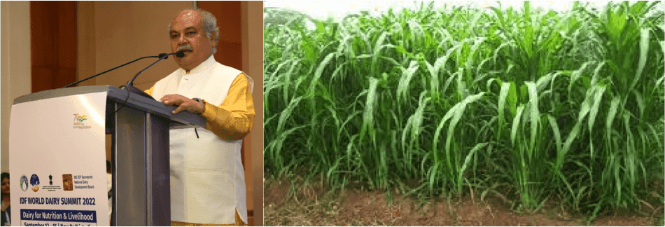Fodder availability will be primary concern in coming days, says Tomar