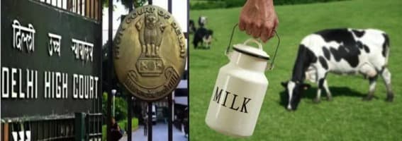 HC refuses to entertain PIL for clean milk for Delhiites