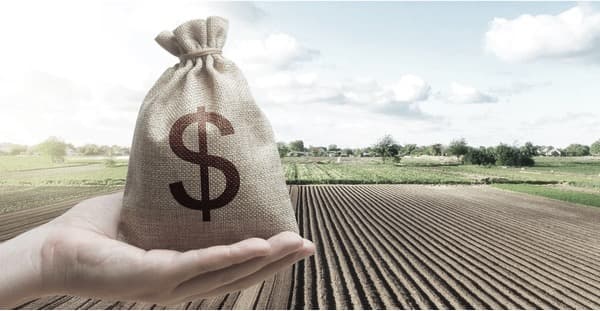 WORLD DAIRY NEWS NZ dairy industry says agricultural subsidies distorting trade