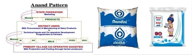 Milk cooperatives indulged in market distorting tactics