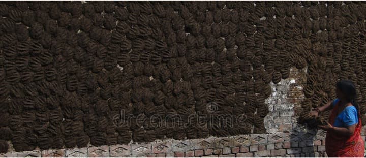 NSO report shows cattle dung is more ‘precious’ than fodder