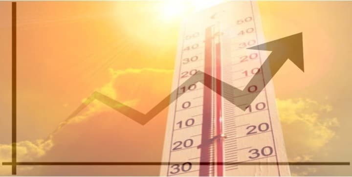 Dairy stocks sizzle as temperatures soar. Time to milk gains?