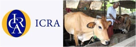 Rating agency ICRA says dairy industry reeling under high input cost