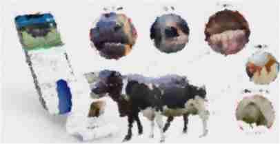 How digital financing is reaching dairy farmers