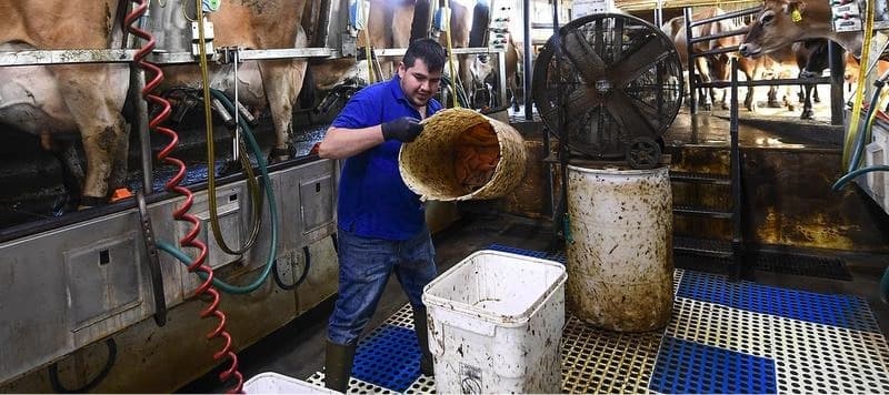 FSSAI mandates registration of foreign food factories including dairy plants