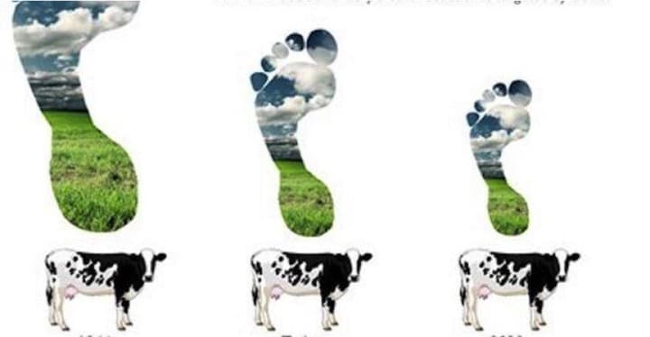 Dairy products export can reduce GHG emissions