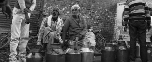 White Revolution of India—Myths and Reality