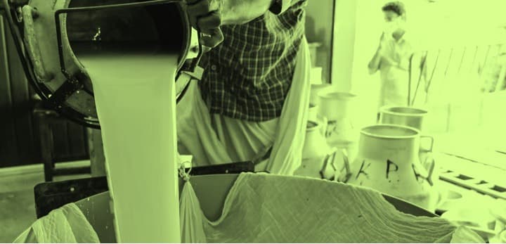 DAIRY NEWS Milk cooperative to pay additional ₹10 for dairy farmers in Kerala