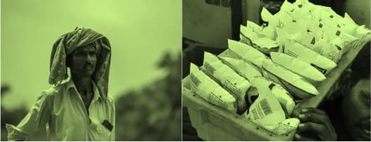 Milk Procurement Price Down 10% Retail Rates Unchanged