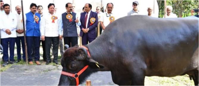 National Dairy Mela evokes good response in Karnal