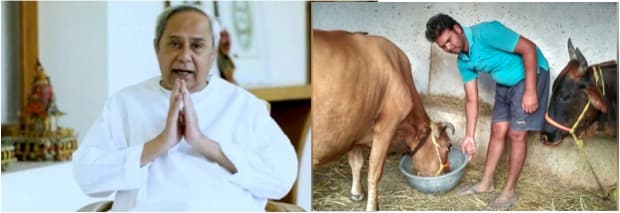 Odisha govt sanctions Rs 11 crore assistance for one lakh dairy farmers