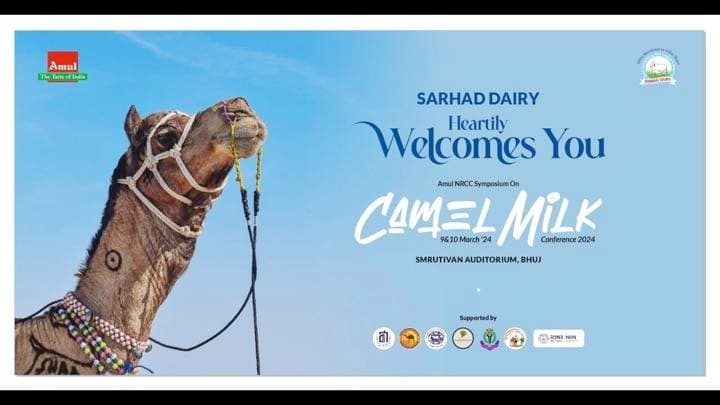 Kutch - A hub of Camel milk in the making
