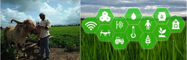 The agri-tech network effect is impacting one smallholder farmer at a time