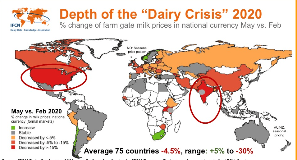 International IFCN conference organized on June 2nd and 3rd 2020