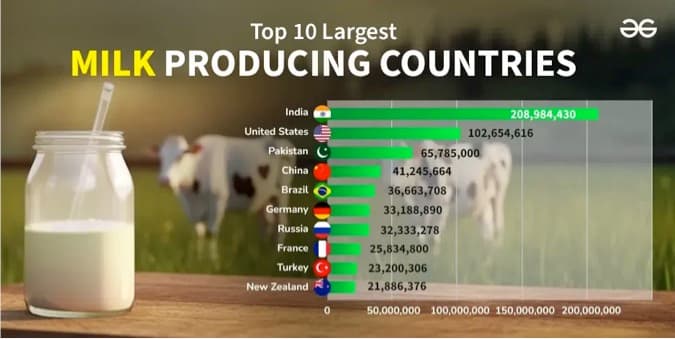 Top 10 milk producing countries in the world - 2024