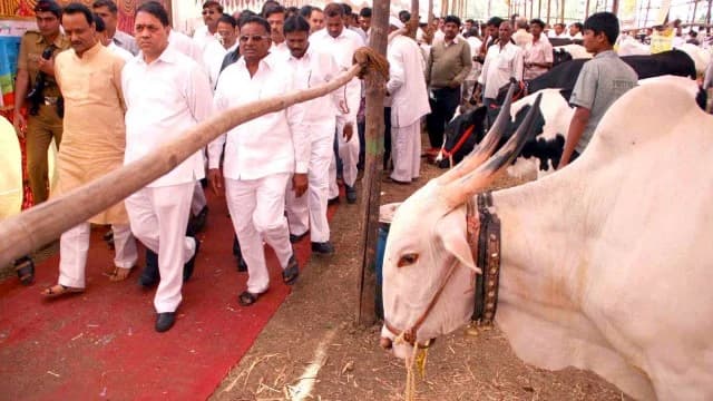 In Baramati , control over cooperative institutions comes in handy for Ajit Pawar