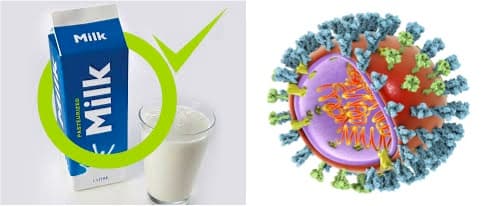 Bird flu virus found in pasteurized milk, though officials maintain supply is safe