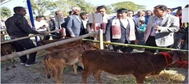 Assam: Purabi Dairy organises Calf Show
