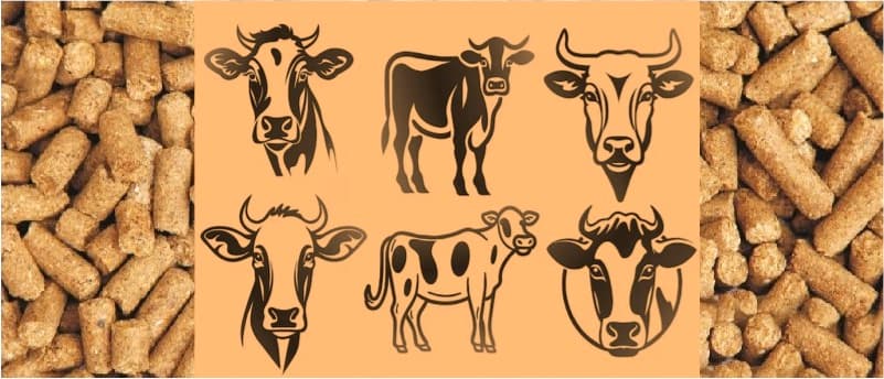 Global Dairy cattle feed production reduced by 2.3% in 2023