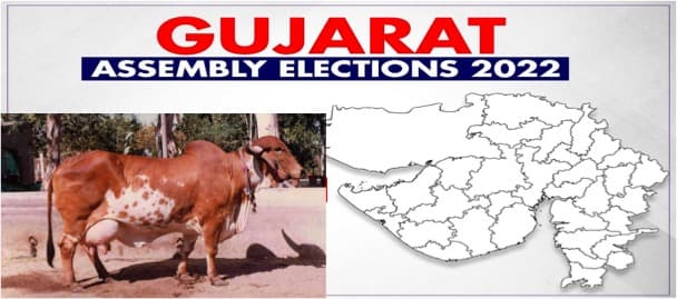 Gujarat polls: Dairymen hold the key to electoral success for parties
