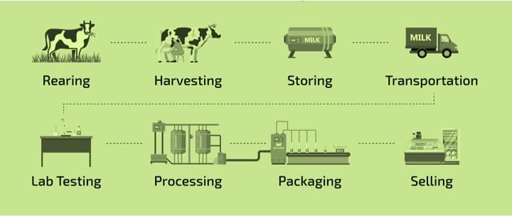 How the dairy industry is overcoming supply chain disruption