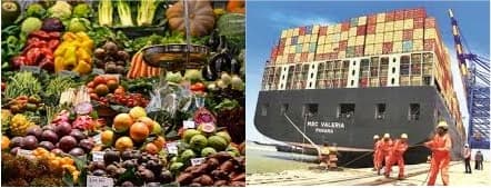 Farm produce exports exceed $10 b in April-Oct Livestock declines
