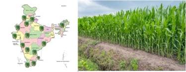 A data repository for fodder is the need of the hour