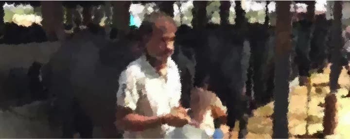 Despite flush season dairy farmers in Maharashtra fetch good prices