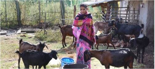 Doctor didis’ creating social capital in rural Jharkhand