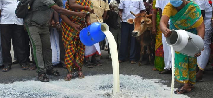 Dairy farmers stage protest in Puducherry UT
