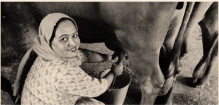 Dairy farmers becoming self-reliant through ODOP in J&K UT