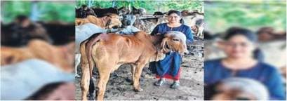 Women entrepreneur who turned dairy start-up into success