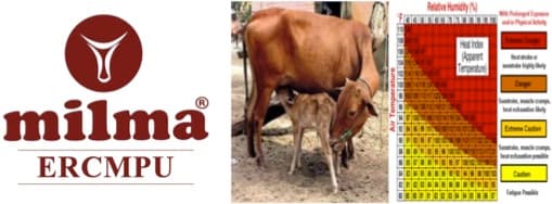 Dairy farmers in Kerala welcome heat index-based insurance cover for animals