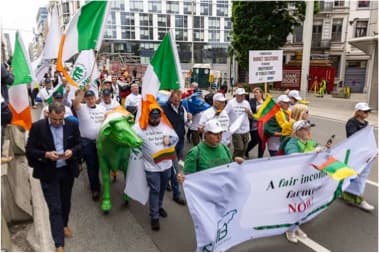 European dairy farmers wheel plaster cows through Brussels to demand 'fair' milk prices