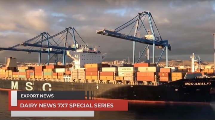 Indian dairy exports in FY 24 showed better value realisation in global markets