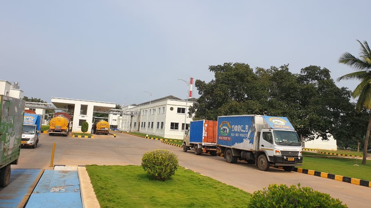 Dodla Dairy Poised for Robust Growth in FY25 with Expansion and Stability
