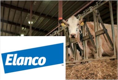 FDA Approves Elanco’s New, First-in-Class Methane-Reducing Feed Ingredient