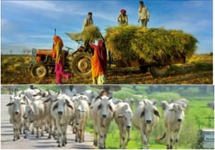 Despite good initiatives under NDA backing out on farm reforms is a negative