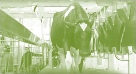 What are some of the hot new forms of dairy technology in the future?
