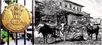 Delhi High Court: City Dairies Fail Statutory Compliance