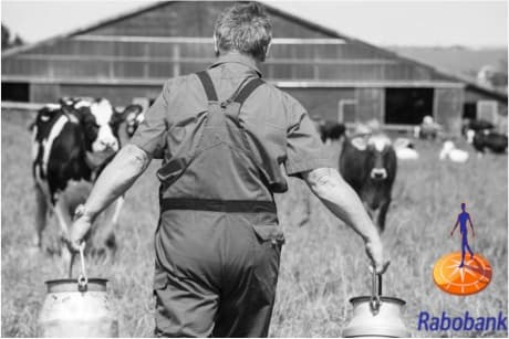 Global dairy outlook is positive, says Rabobank :Searching for Equilibrium