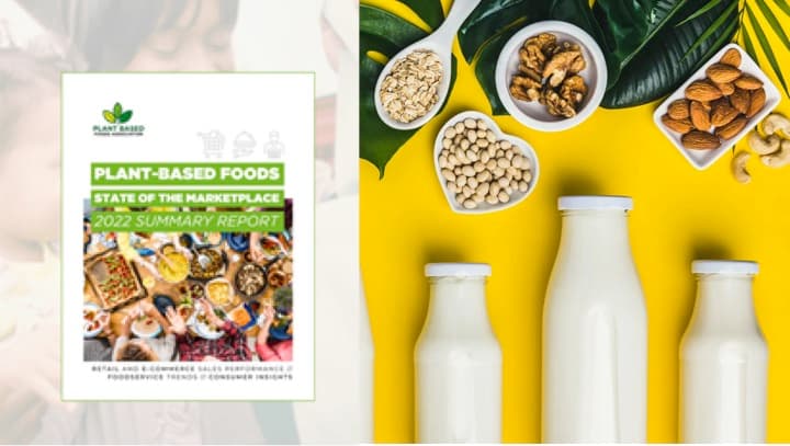 Innovation and Inflation: Dual Forces Shaping the Plant-Based Milk Market