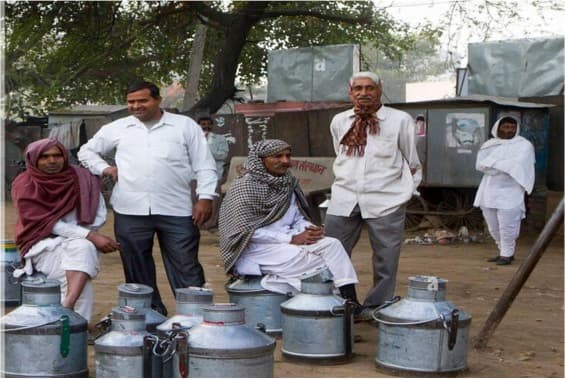 Private milk vendors also increased Milk prices significantly in Haryana, Assam